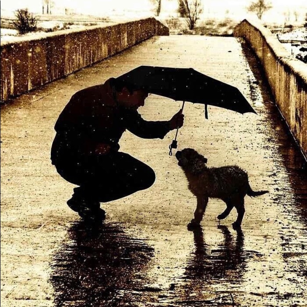 Be Kind. Love dogs.